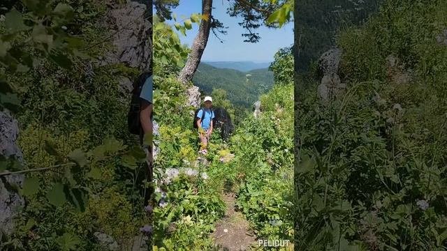 АДЫГЕЯ.ПЛАТО ЛАГО НАКИ