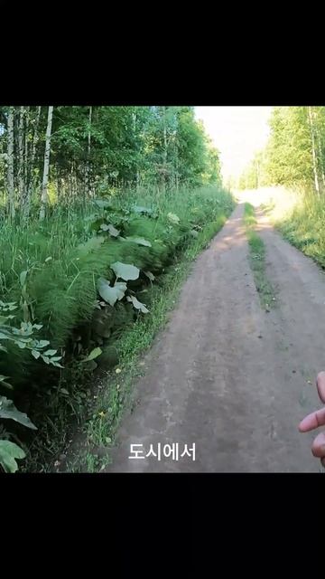 «Скорость vs Тишина»#сезонконтентаRUTUBE