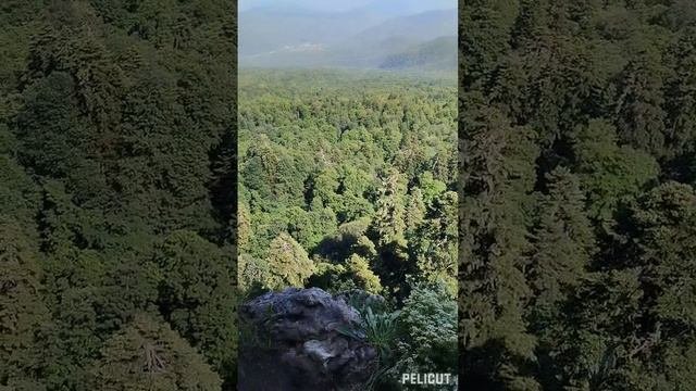 АДЫГЕЯ. ПЕЩЕРА АЗИШСКАЯ И ПЕЩЕРА НЕЖНАЯ