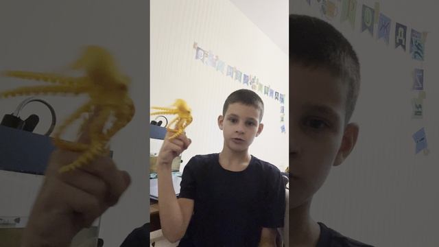 Я рассказываю и показываю про 3D-Игрушки!