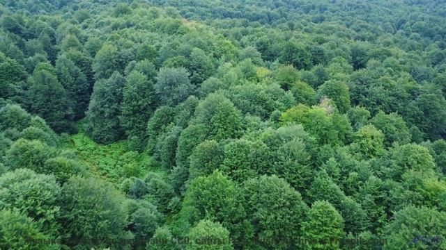 Эти пейзажи как картина, а музыка - как её душа - Arcade Paradise -- Scott Holmes Music -- Music For