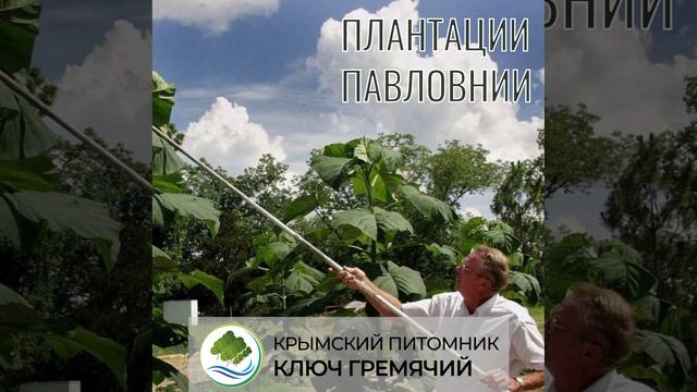 ВЫСОКИЙ ЗАРАБОТОК без рисков