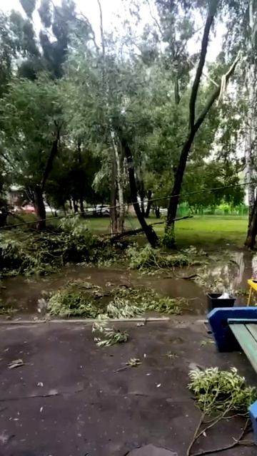 Последствия сильного ветра в Омске