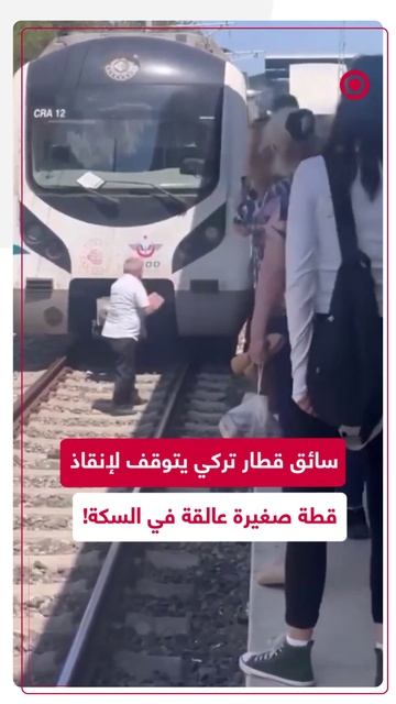 سائق قطار تركي يتوقف لإنقاذ قطة صغيرة عالقة في السكة