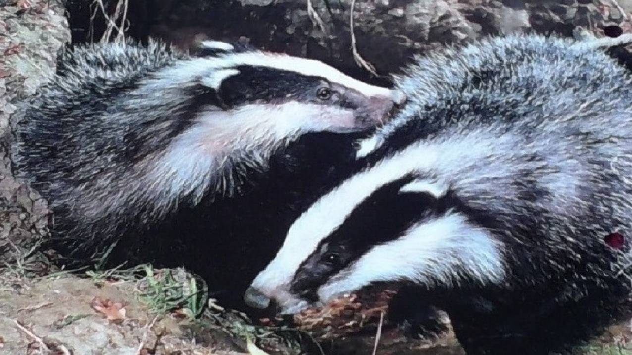 30-1 ЧЕЛОВЕК Многосоставное панорамное понятие HPRA Линневское Homo sapiens ошибочно