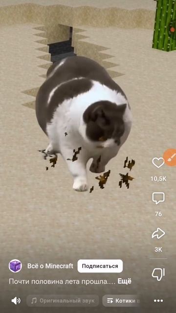 XRecorder_20250713_03.mp4