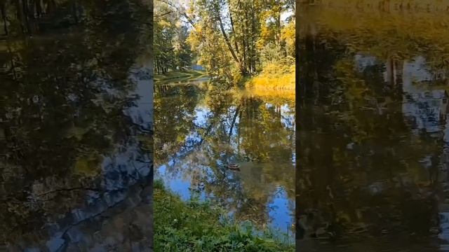 Прогулка в Александровском парке