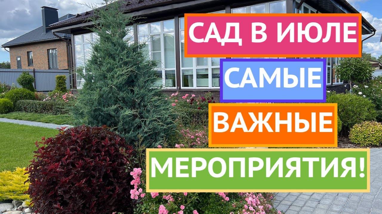 УСПЕЙТЕ СДЕЛАТЬ ЭТИ ДЕЛА В САДУ В ИЮЛЕ!!