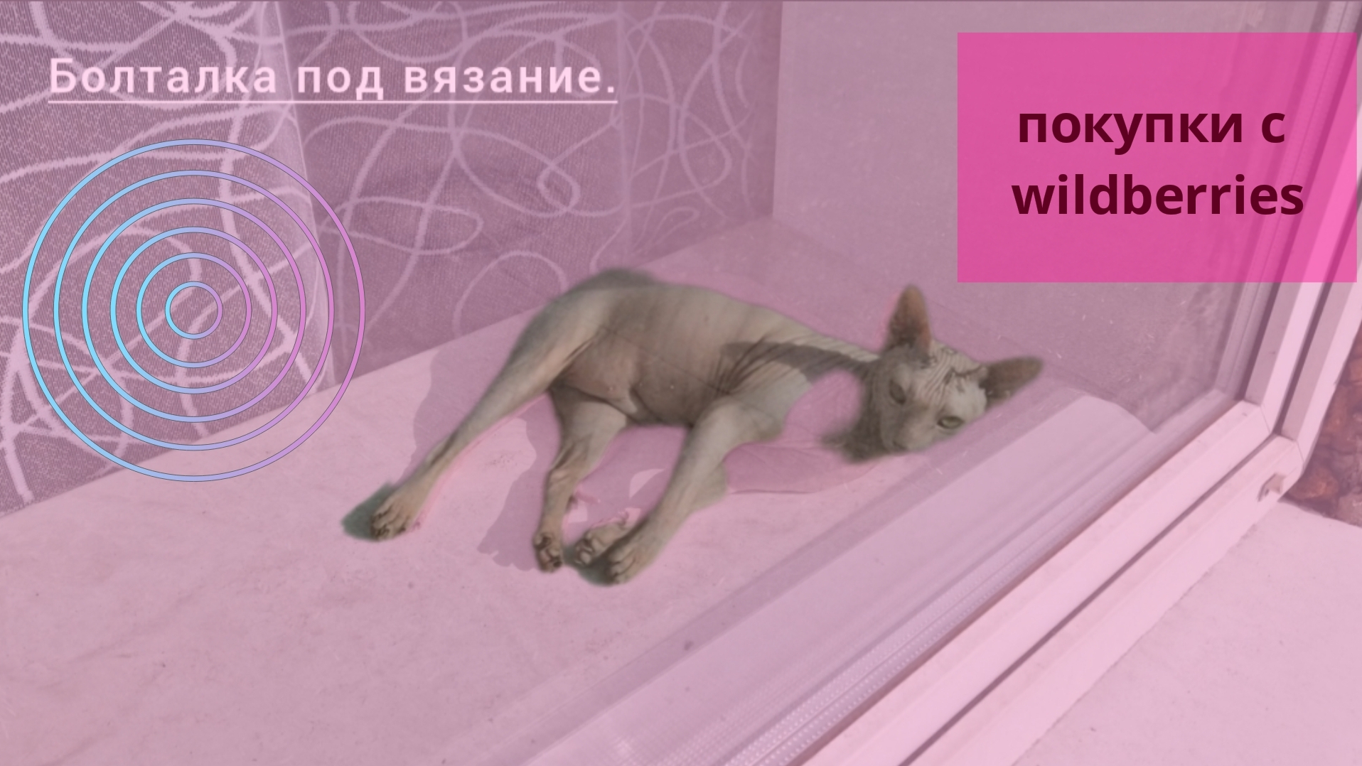 Поход на пляж//Покупки с wildberries//Кися сфинкс