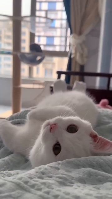 Доброе утречко🤗