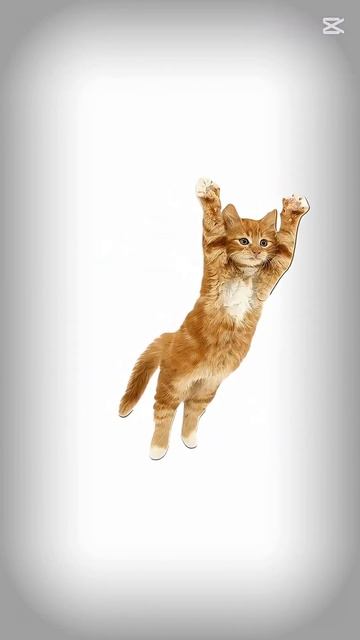 #трендскотом #кот #залетит #kills #roblox #onlycooltheroomsyouneed #круто #funny #helpmemake #крут