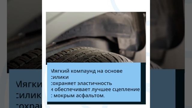 Как правильно выбрать шины на сезон дождей