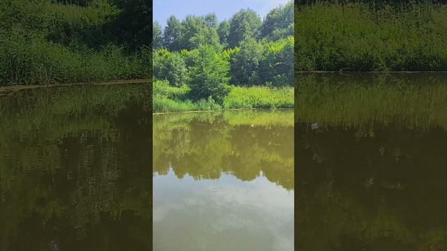 Михайло - Архангельский женский монастырь. Ульяновская область, село Комаровка