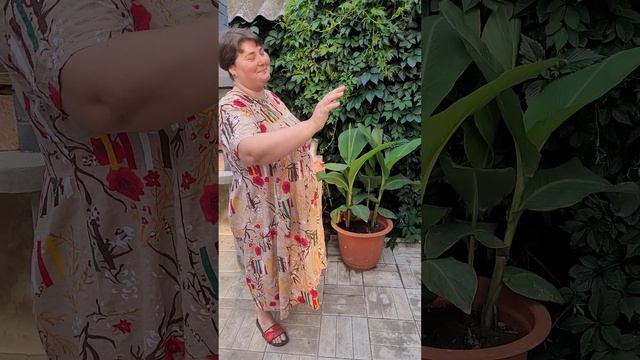 в гостях у Оксаны