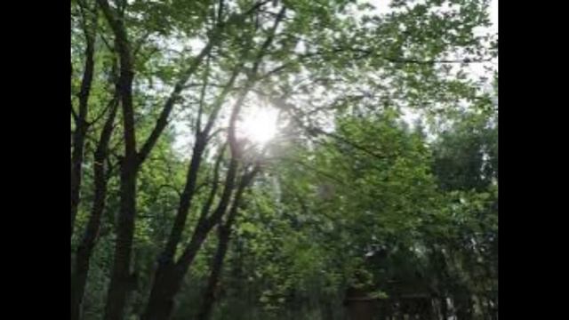 13 июля - Двенадцать апостолов. Традиции и обряды. Народные приметы