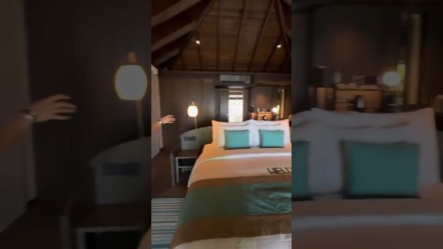 Кобелитка с сестрой на Мальдивах🏝️