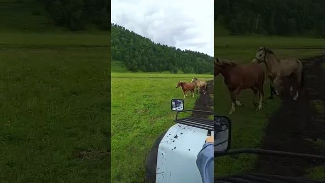 Квадроциклы, покатушки в Горном Алтае
