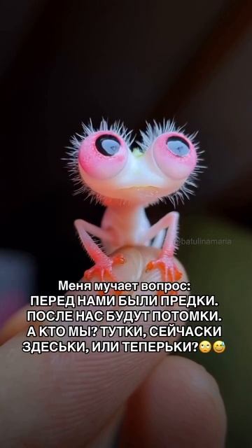 Меня тут мучает один вопрос 🤔