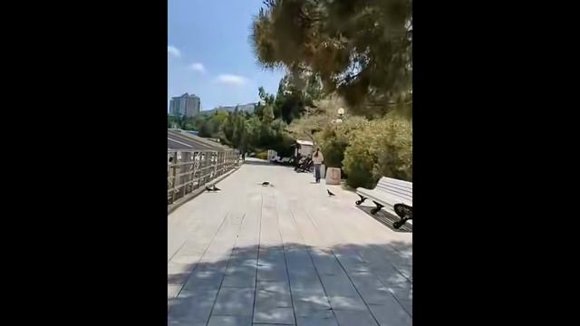 Мягкий отклик за гранью слов