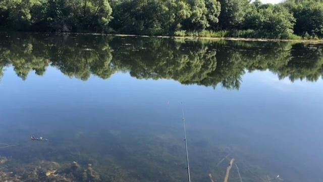 Релакс на природе, музыка из к/ф  " Королёк - птичка певчая "