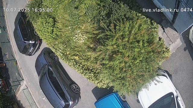 video-15898-0710-1600-30000