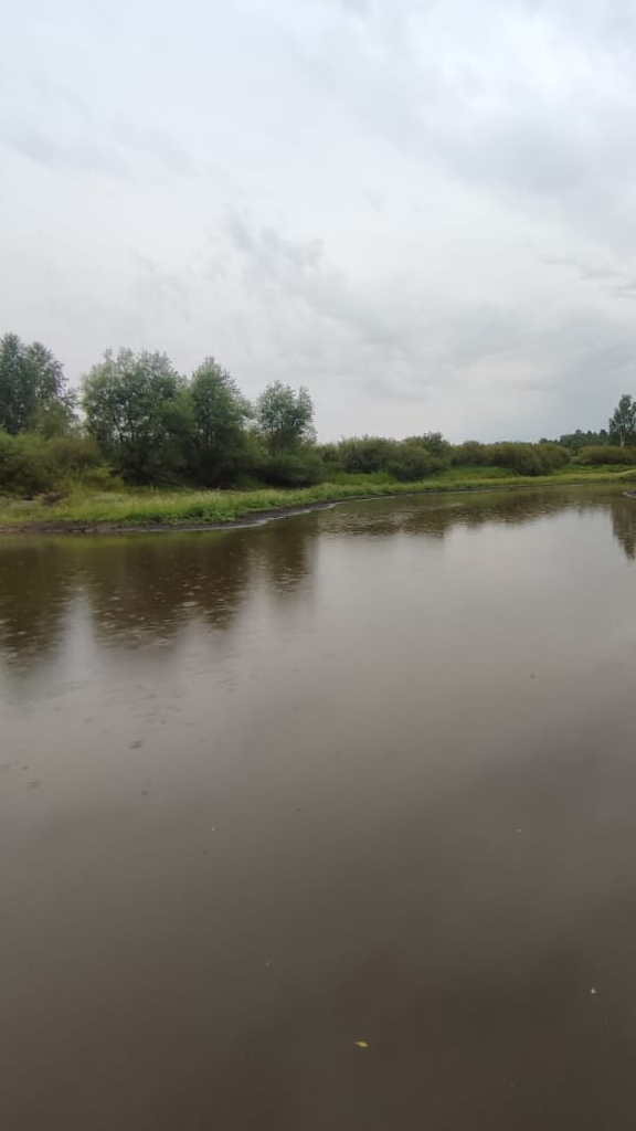 Рыбалка в лесу