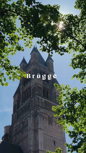 Brügge #reisen #walking #4k #vibe #kultur #viralvideos #fyp #belgium #travel #shorts #aida