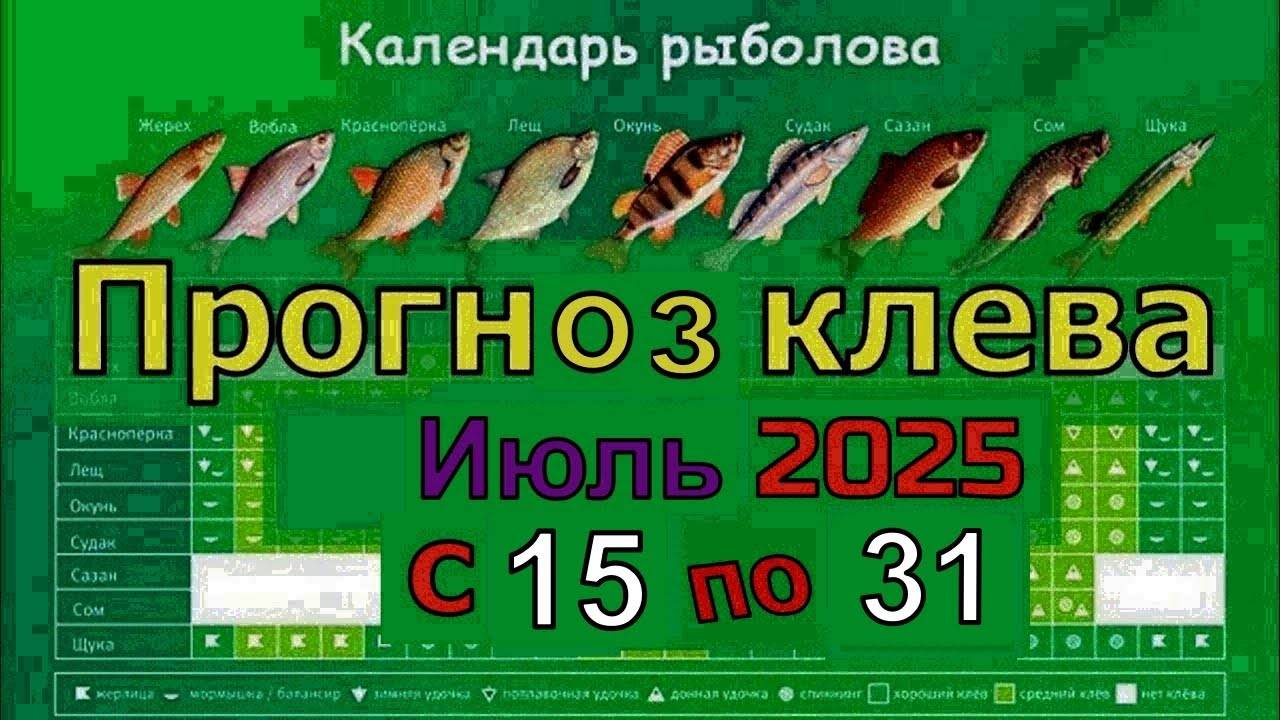 Лучшие дни для рыбалки с 15 по 31 июля 2025