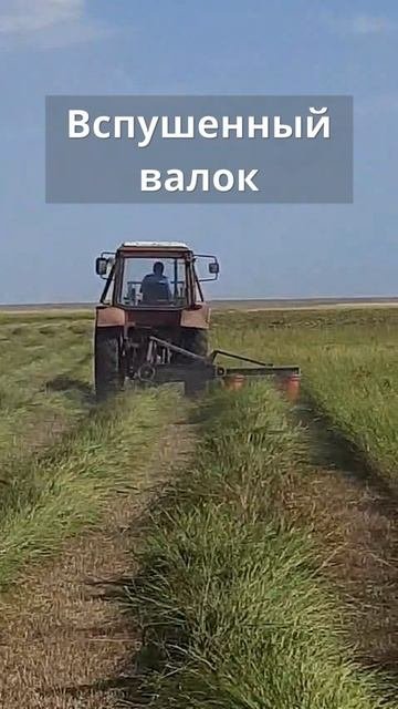 АР-195 завода Агростар это всегда ровный срез, чистый корм, вспушенный валок. сайт: Agro-star.pro