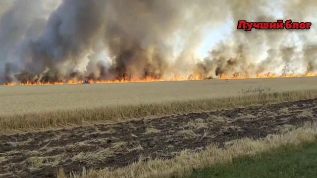 ⚠️13.07.25 Ставропольский край и Калмыкия 
Горят поля пшеницы