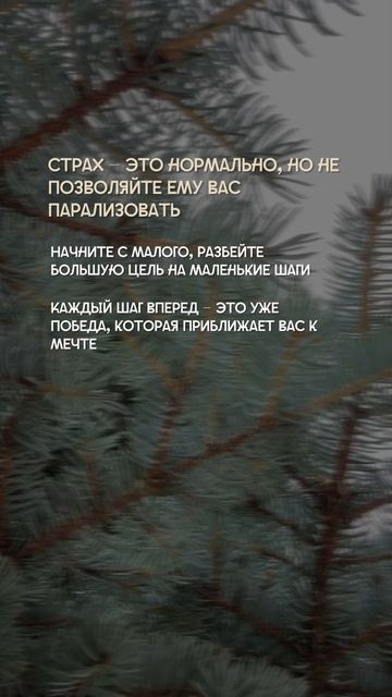 Парадокс парадоксов - бояться своих ЦЕЛЕЙ и ЖЕЛАНИЙ 🤪