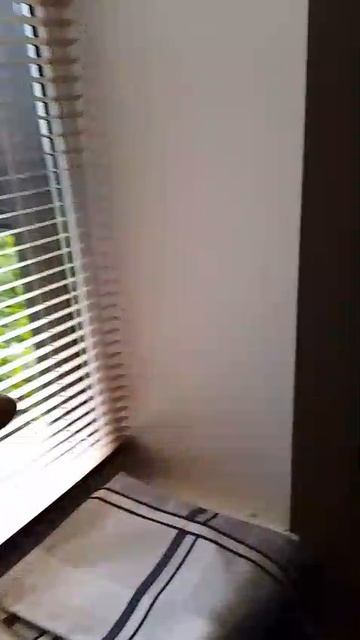 Тун-тун-тун Сахур
