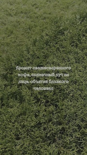 СОГЛАСНЫ?