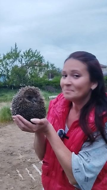 ёжик совсем не воняет 😊