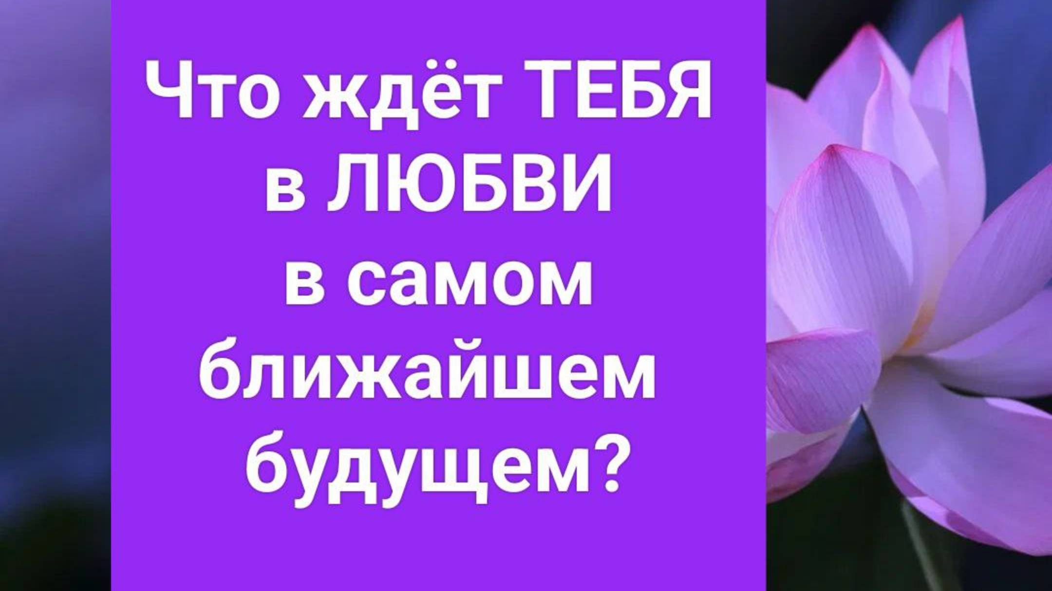 ❤ Что ожидать в ЛЮБВИ в ближайшем БУДУЩЕМ ❤️