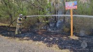 За неделю в ДНР произошло 440 ландшафтных пожаров