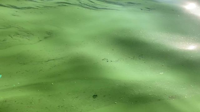 Вернулись в город, приехали на рыбалку.