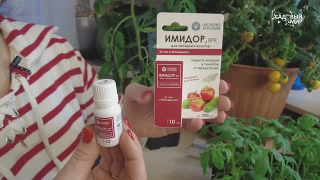 Борьба с тепличной белокрылкой