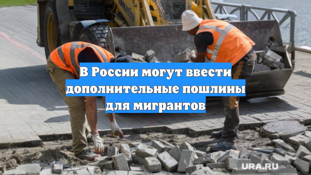 В России могут ввести дополнительные пошлины для мигрантов