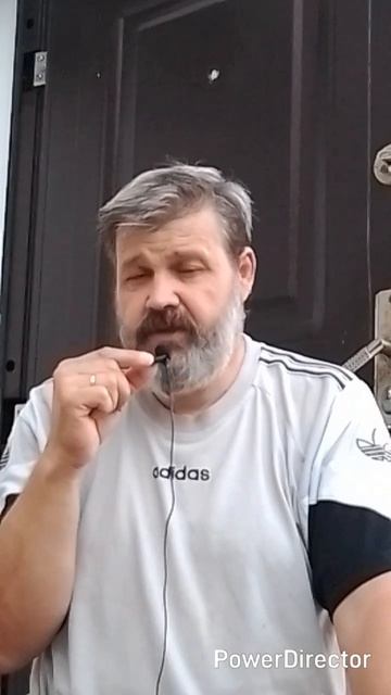 1000039133.mp4/shorts