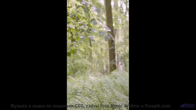 Природа и музыка здесь - сильнейший удар по эмоциям - When We Were Young -- Derek Clegg -- Man on th