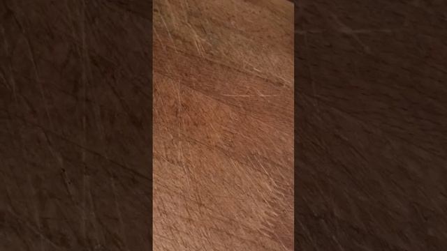 1000053364.mp4