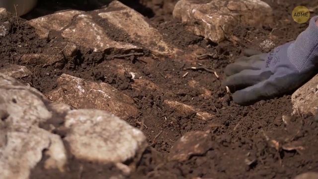 Подо льдами Антарктиды скрывалось нечто... Подлодка исчезла без следа