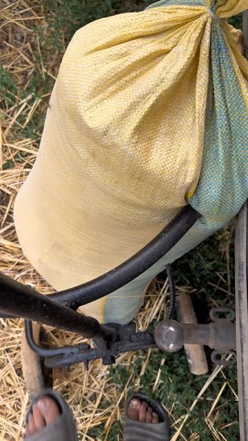 Обзор на тачку для мешков! Телега: DanilaFermer #shorts #farming #деревня #reels #сельхоз #обзор