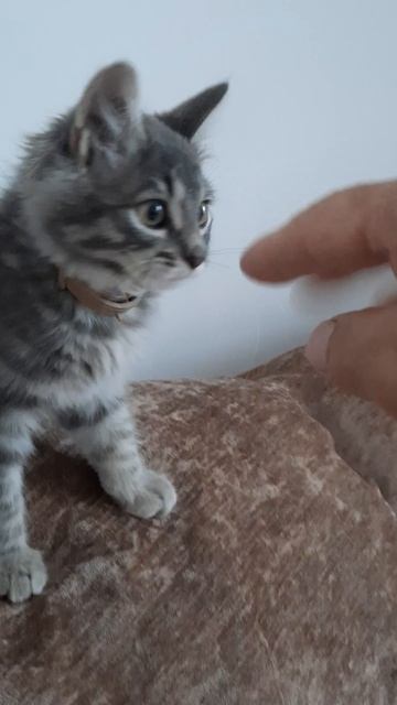 Счастье живет рядом с нами