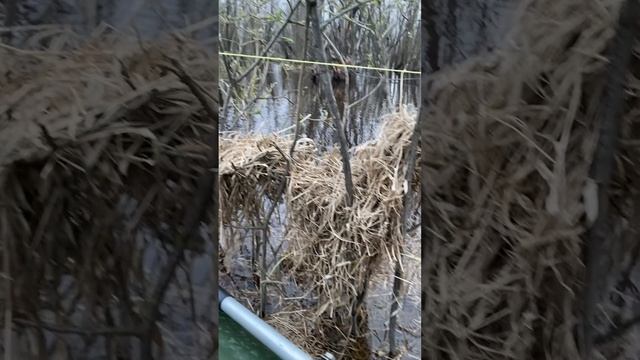 Проверка скрадка и рыбалка 🎣