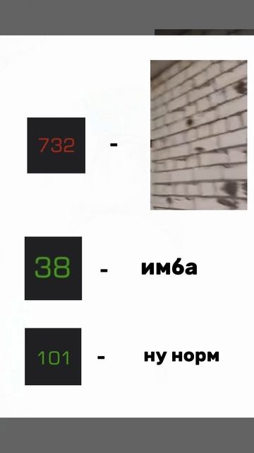 1000039806.mp4