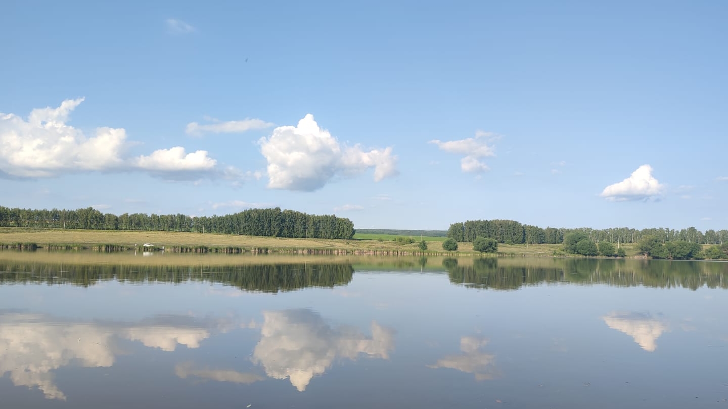 Рыбка клюёт