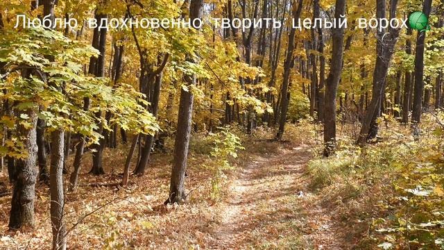 Стихотворение про любимое