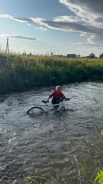 Заплыв